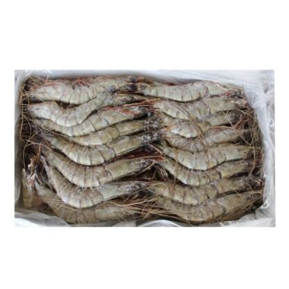 有壳有头虾Raw Head-On Black Tigers Prawn 21-30 1kg